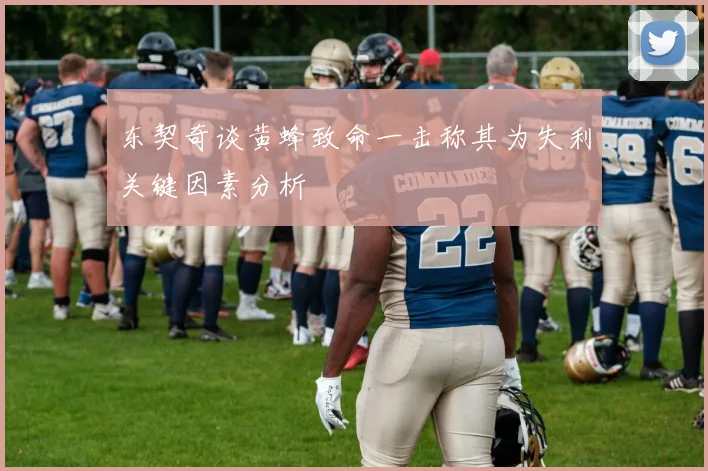 东契奇谈黄蜂致命一击称其为失利关键因素分析