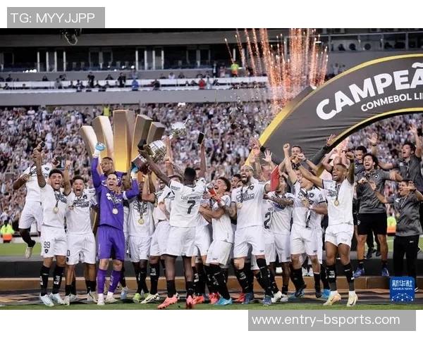 巴西足球盛事帕尔梅拉斯与弗拉门戈争夺南美解放者杯冠军